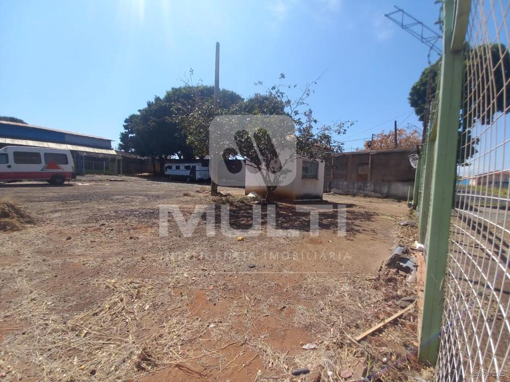 Casa, 1 quarto, 1000 m² - Foto 3