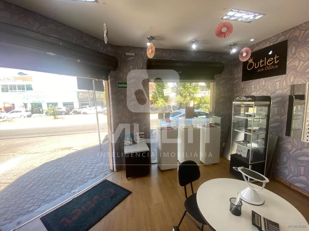Casa, 3 quartos, 479 m² - Foto 4