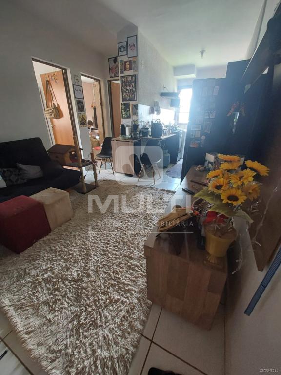 Apartamento, 2 quartos, 44 m² - Foto 2