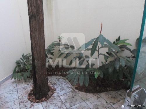 Casa, 4 quartos, 331 m² - Foto 5