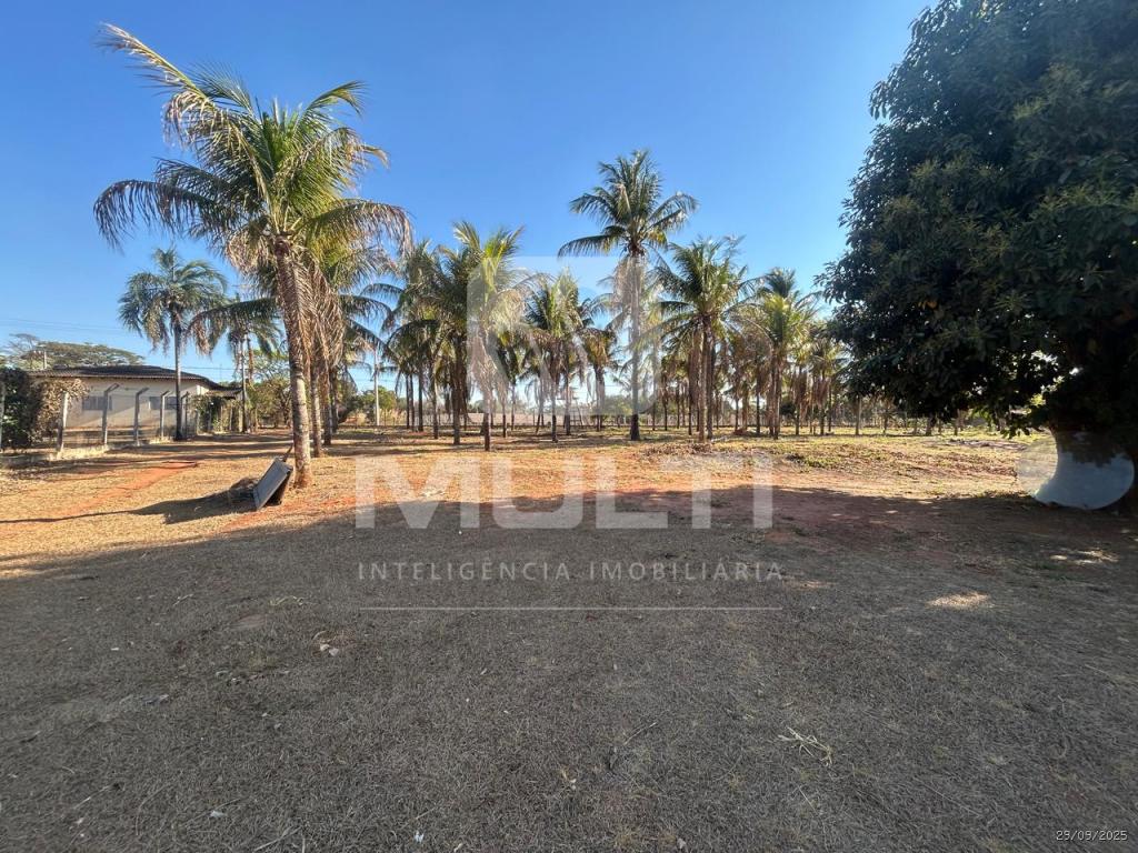 Chácara, 3 quartos - Foto 3