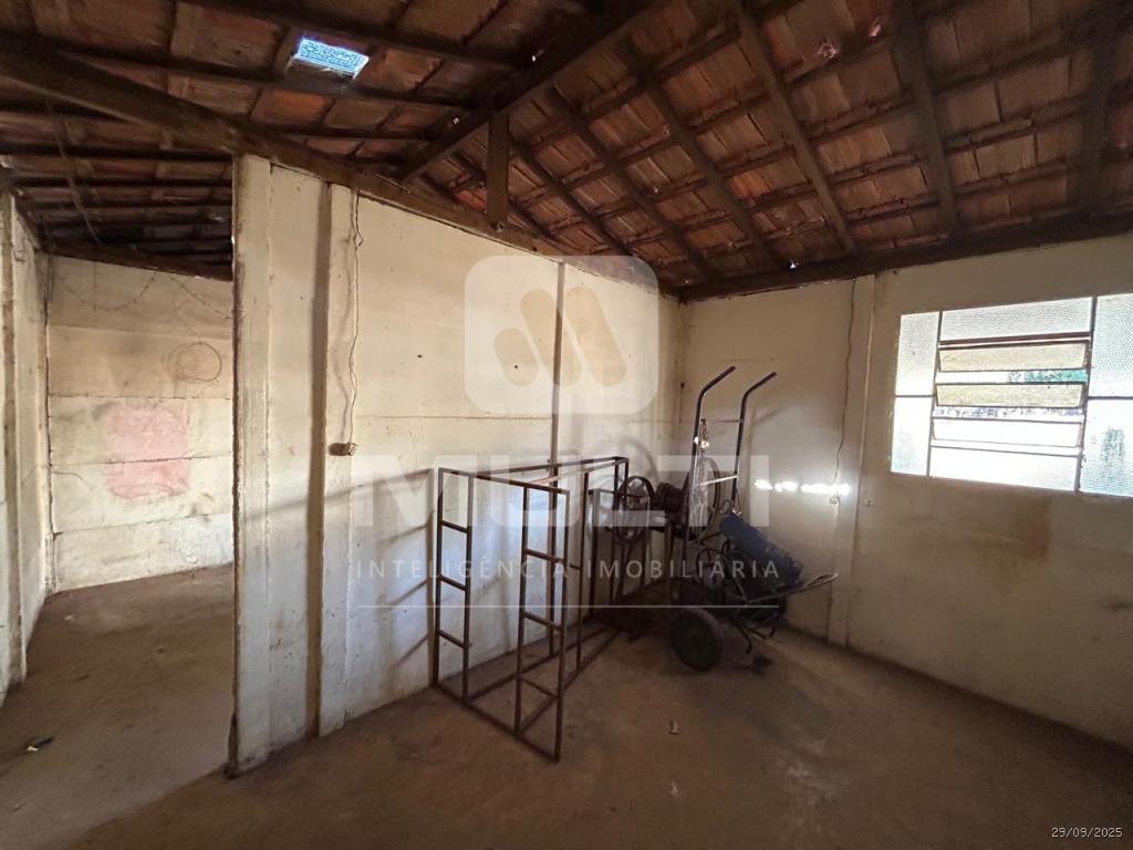 Chácara, 3 quartos - Foto 42