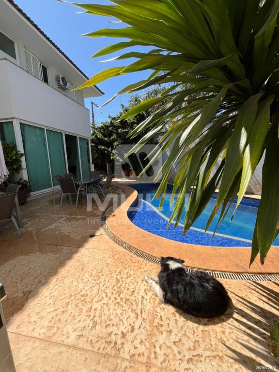 Casa à venda com 4 quartos, 377m² - Foto 16