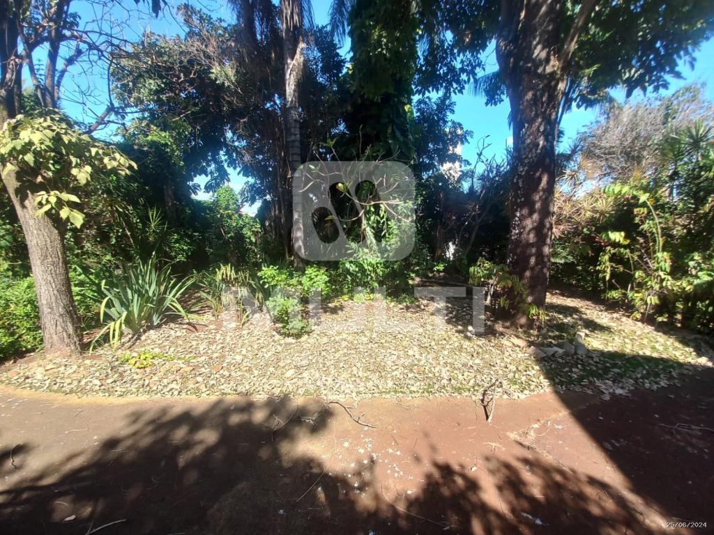 Casa, 4 quartos, 200 m² - Foto 6