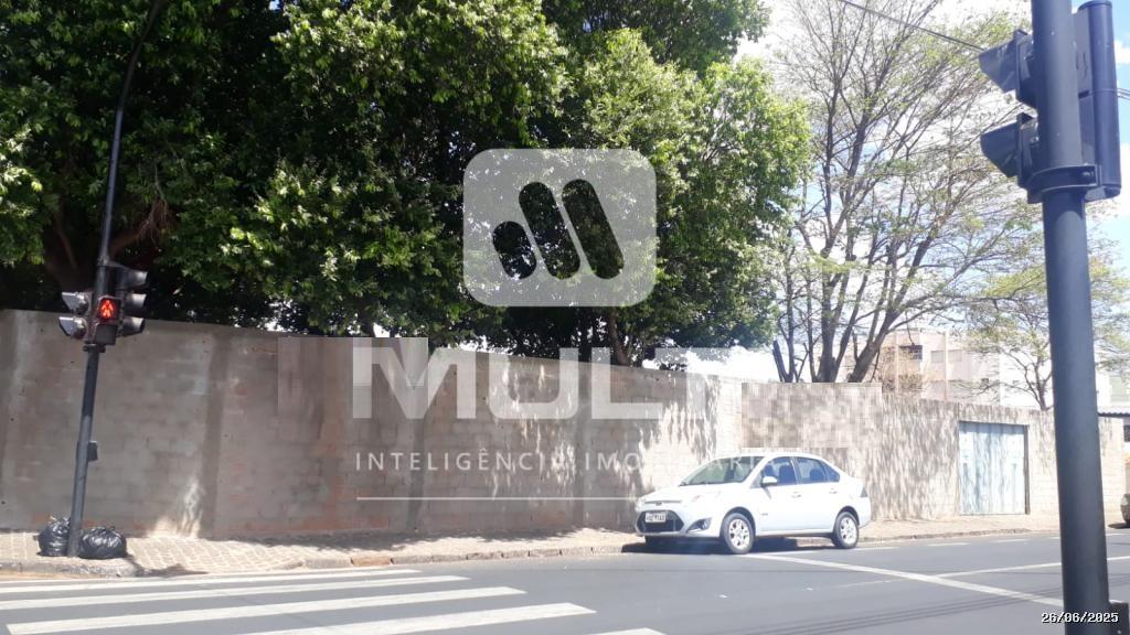 Loteamento e Condomínio - Foto 4