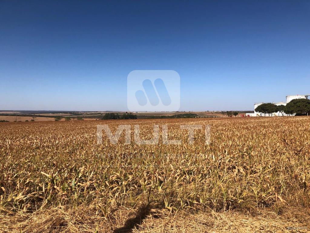 Terreno à venda com 1 quarto, 80000m² - Foto 1