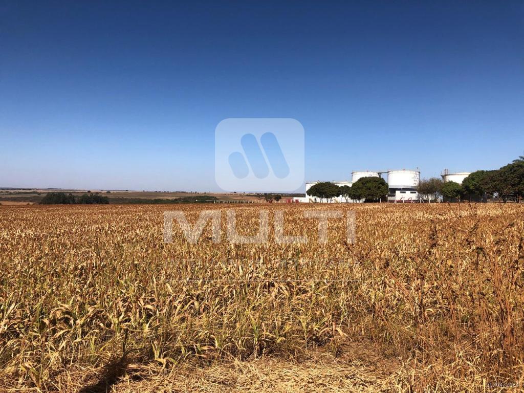Terreno à venda com 1 quarto, 80000m² - Foto 2
