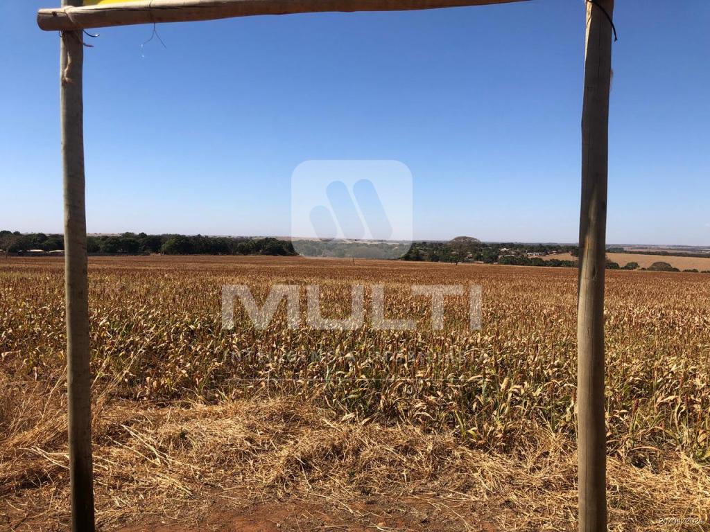Terreno à venda com 1 quarto, 80000m² - Foto 3