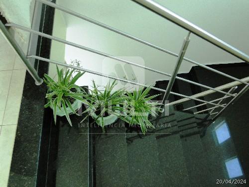 Casa, 3 quartos, 270 m² - Foto 9