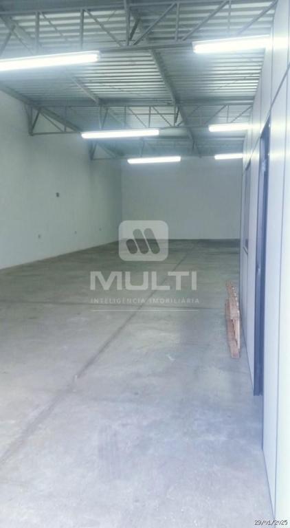 Casa, 1 quarto, 250 m² - Foto 3