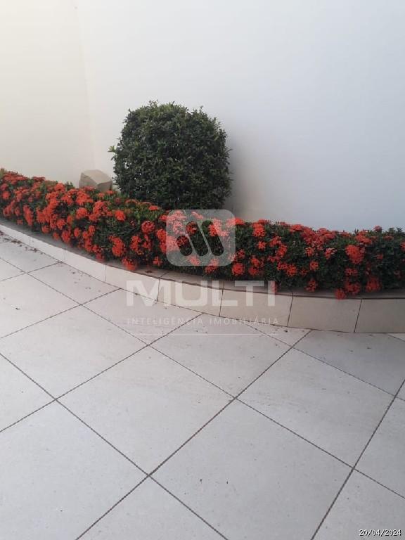 Casa, 3 quartos, 250 m² - Foto 11