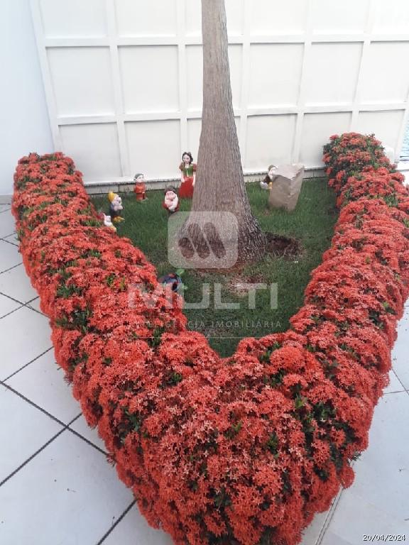 Casa, 3 quartos, 250 m² - Foto 13