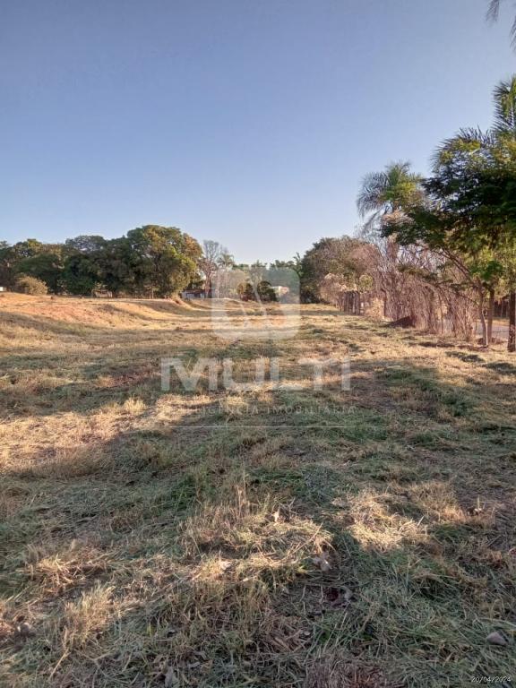 Terreno à venda com 1 quarto, 5400m² - Foto 3