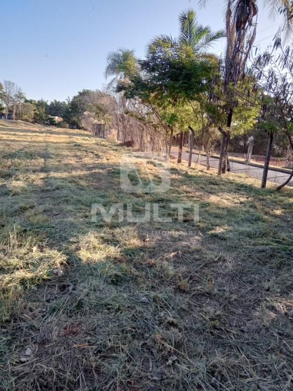 Terreno à venda com 1 quarto, 5400m² - Foto 4