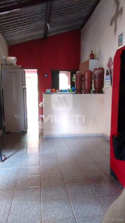 Chácara à venda com 2 quartos, 120m² - Foto 4