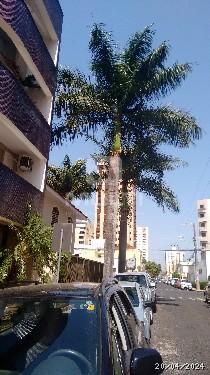 Prédio Inteiro à venda com 4 quartos, 1578m² - Foto 2
