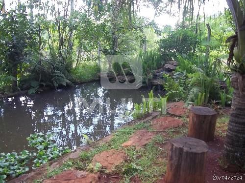 Chácara à venda com 1 quarto, 5400m² - Foto 16