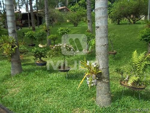 Chácara à venda com 1 quarto, 5400m² - Foto 36