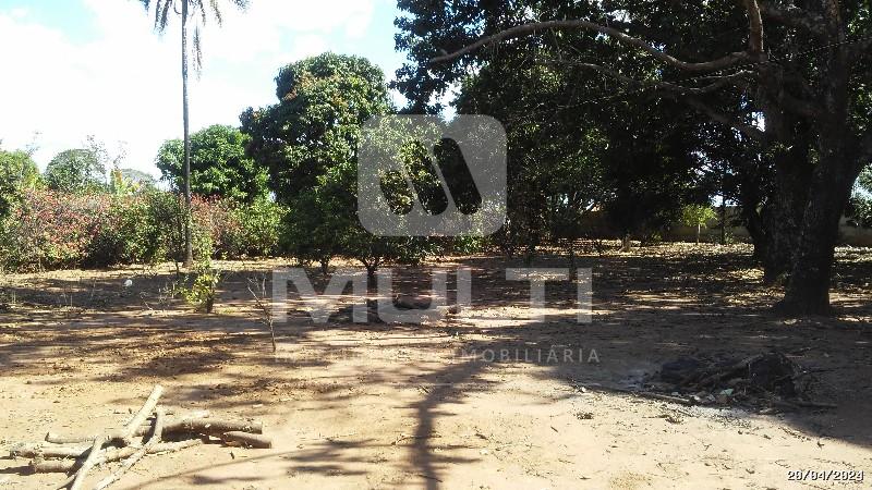 Chácara à venda com 1 quarto, 250m² - Foto 6
