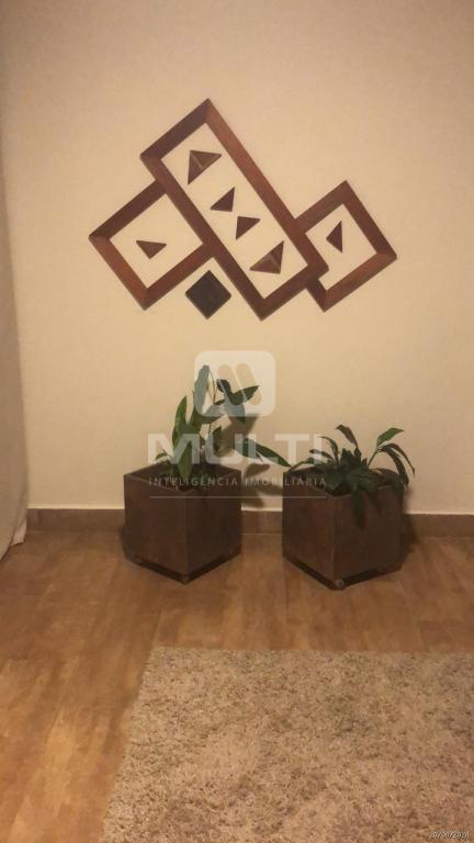 Chácara à venda com 3 quartos, 380m² - Foto 2