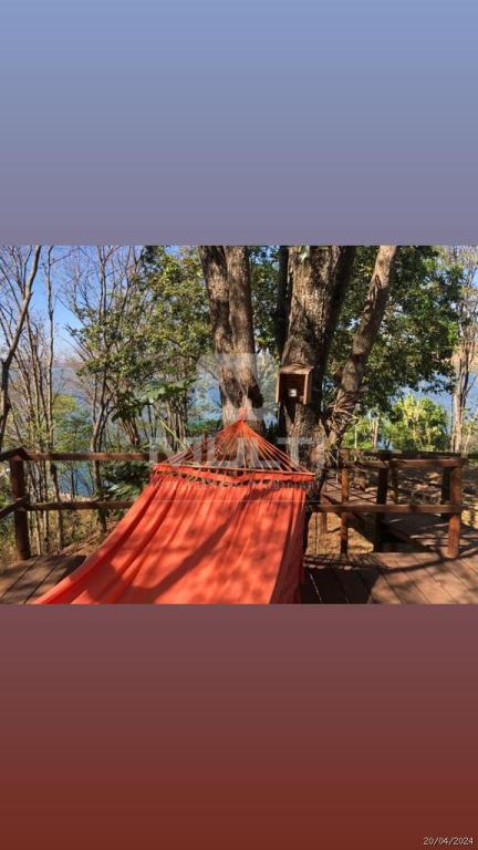 Chácara à venda com 3 quartos, 20000m² - Foto 4
