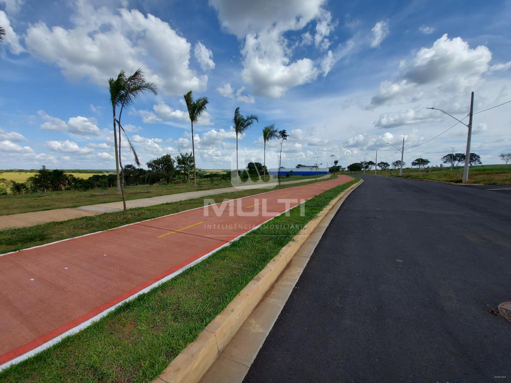 Terreno, 250 m² - Foto 4