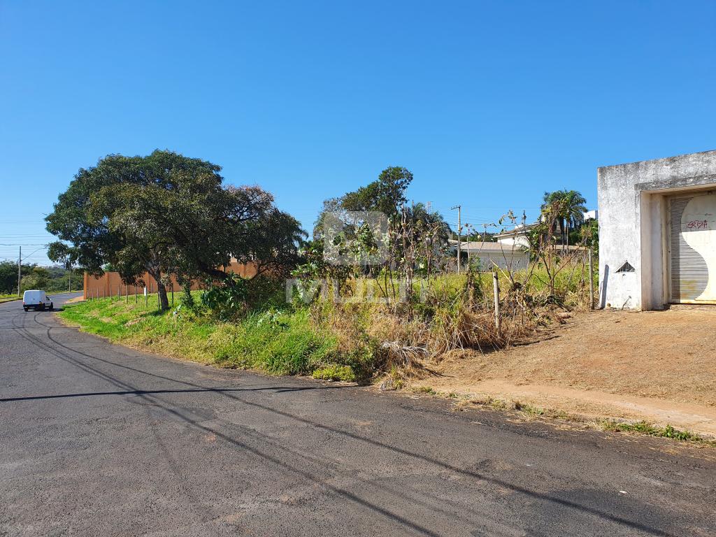 Terreno à venda com 1 quarto, 961m² - Foto 4