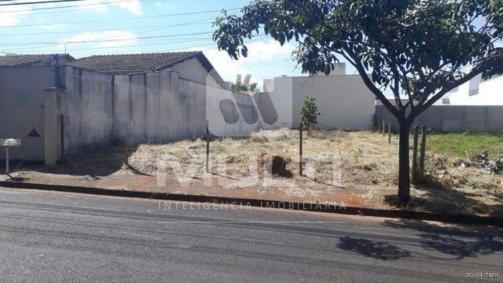 Terreno à venda com 1 quarto, 250m² - Foto 3