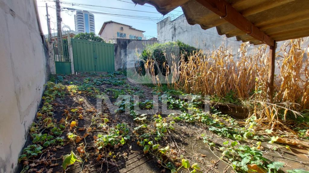 Terreno à venda com 1 quarto, 169m² - Foto 2