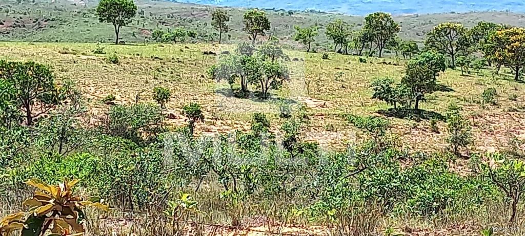 Chácara à venda com 1 quarto, 1000m² - Foto 4