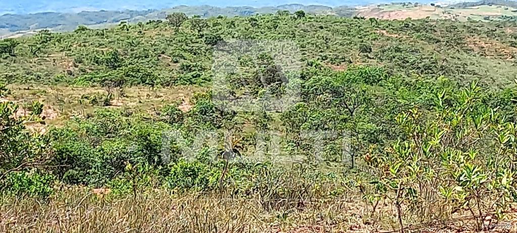 Chácara à venda com 1 quarto, 1000m² - Foto 5
