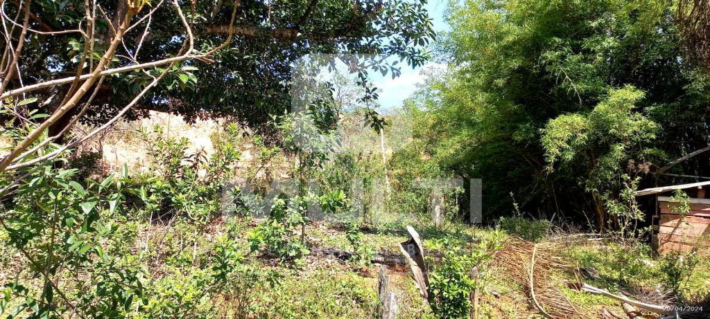 Chácara à venda com 1 quarto, 1000m² - Foto 10