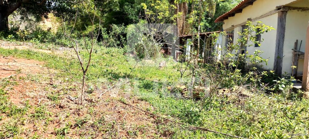 Chácara à venda com 1 quarto, 1000m² - Foto 11