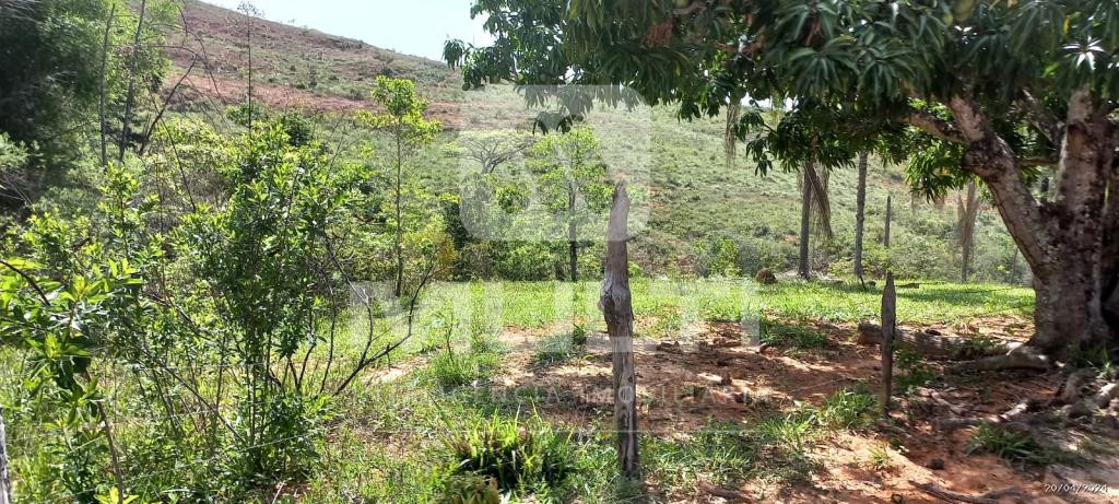Chácara à venda com 1 quarto, 1000m² - Foto 13