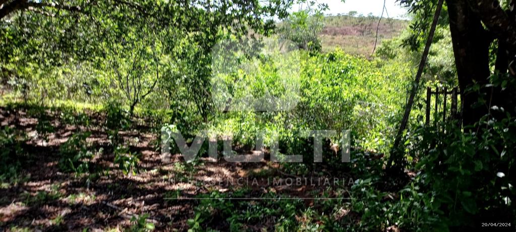 Chácara à venda com 1 quarto, 1000m² - Foto 14