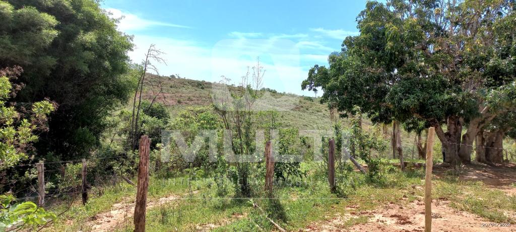 Chácara à venda com 1 quarto, 1000m² - Foto 17