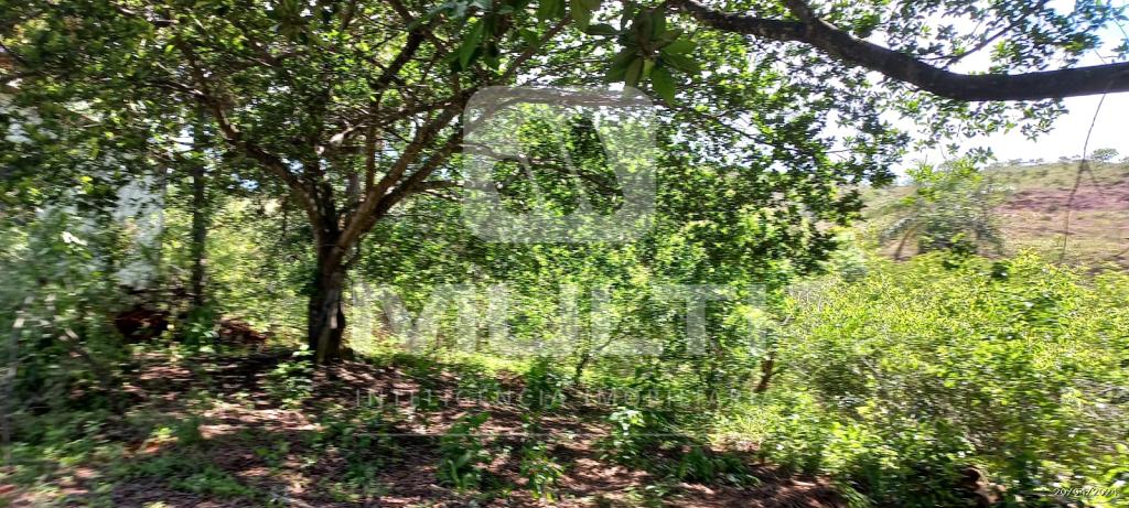 Chácara à venda com 1 quarto, 1000m² - Foto 18