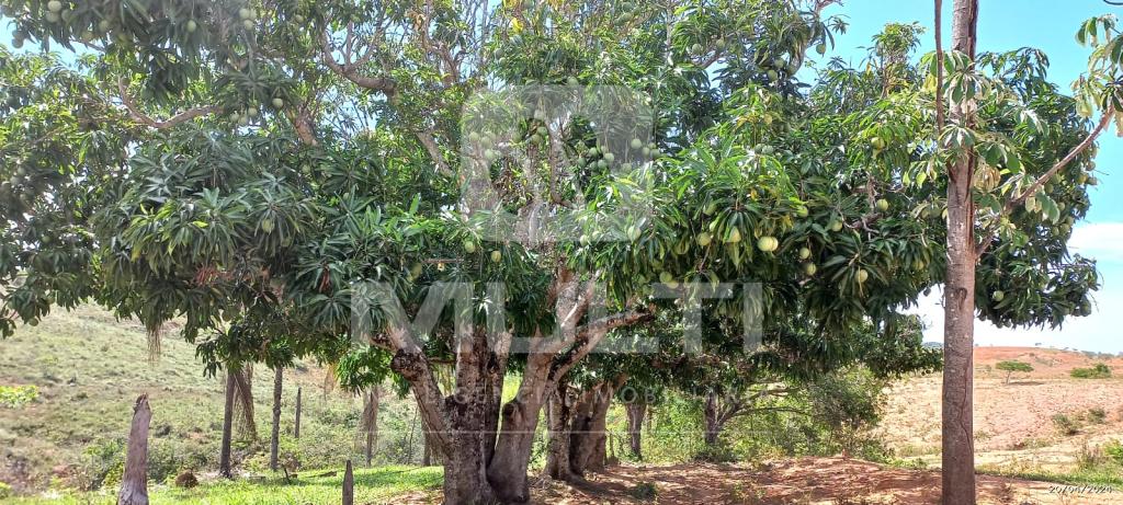 Chácara à venda com 1 quarto, 1000m² - Foto 19