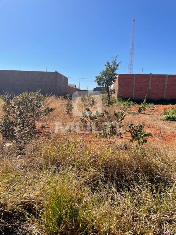 Terreno à venda com 1 quarto, 250m² - Foto 2