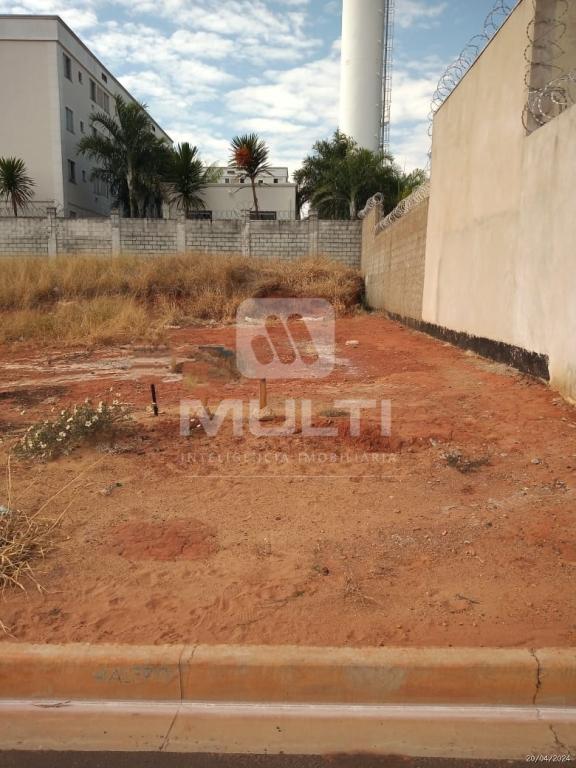 Terreno à venda com 1 quarto, 250m² - Foto 3