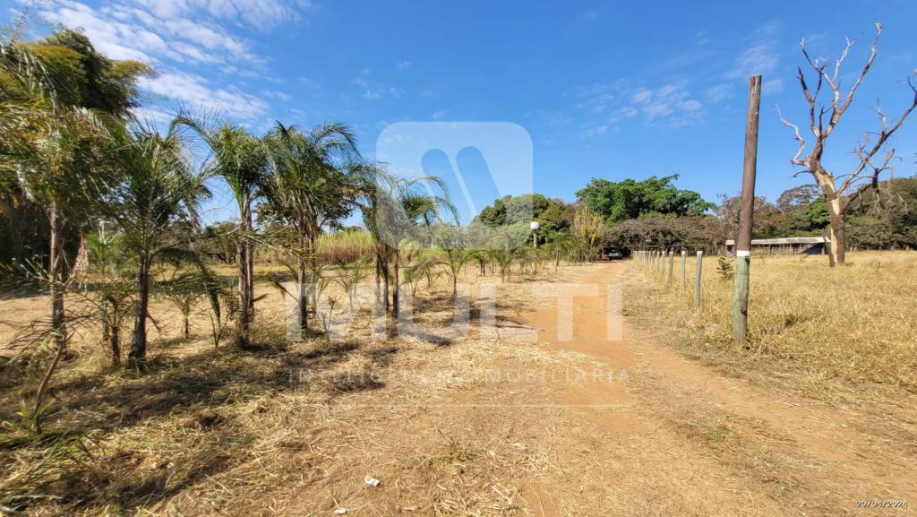 Chácara à venda com 1 quarto, 10000m² - Foto 3