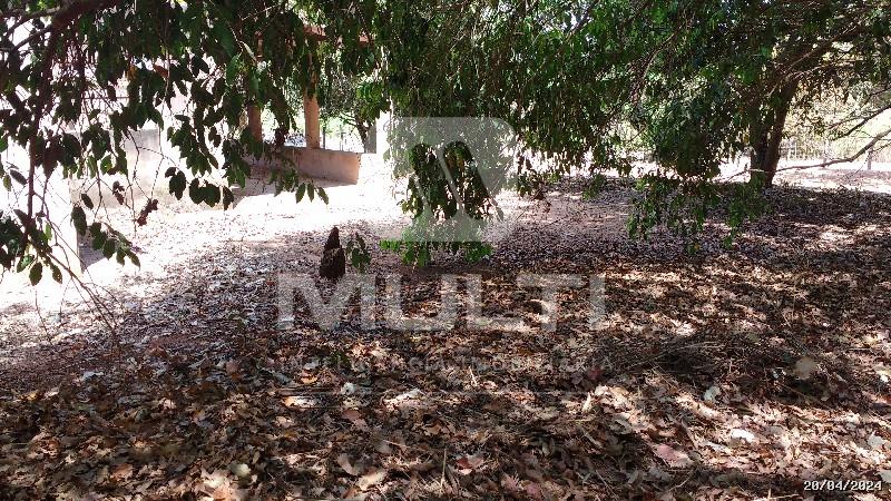 Chácara à venda com 1 quarto, 5040m² - Foto 14