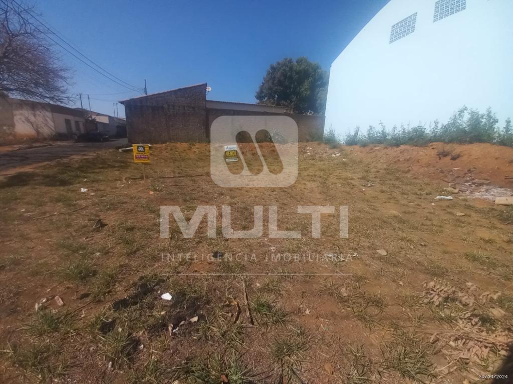 Terreno à venda com 1 quarto, 302m² - Foto 1