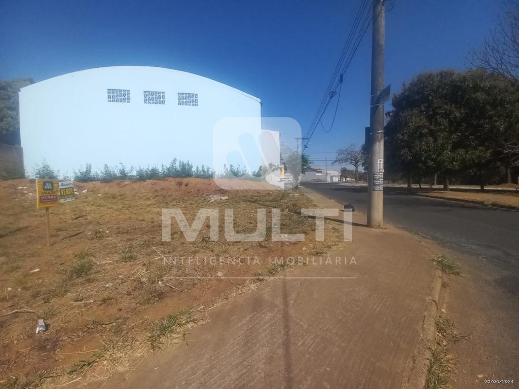 Terreno à venda com 1 quarto, 302m² - Foto 3