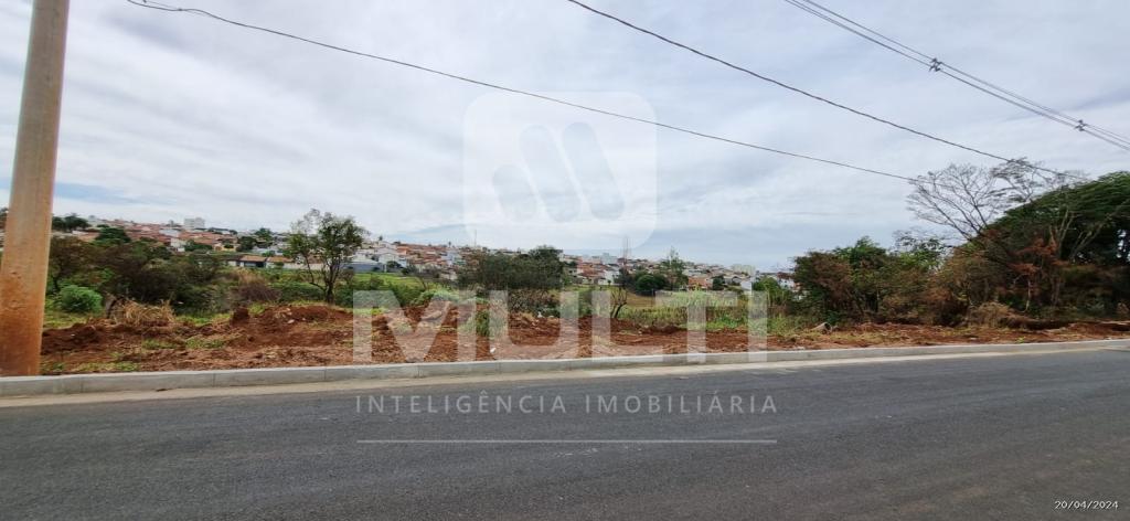 Terreno à venda com 1 quarto, 5025m² - Foto 4
