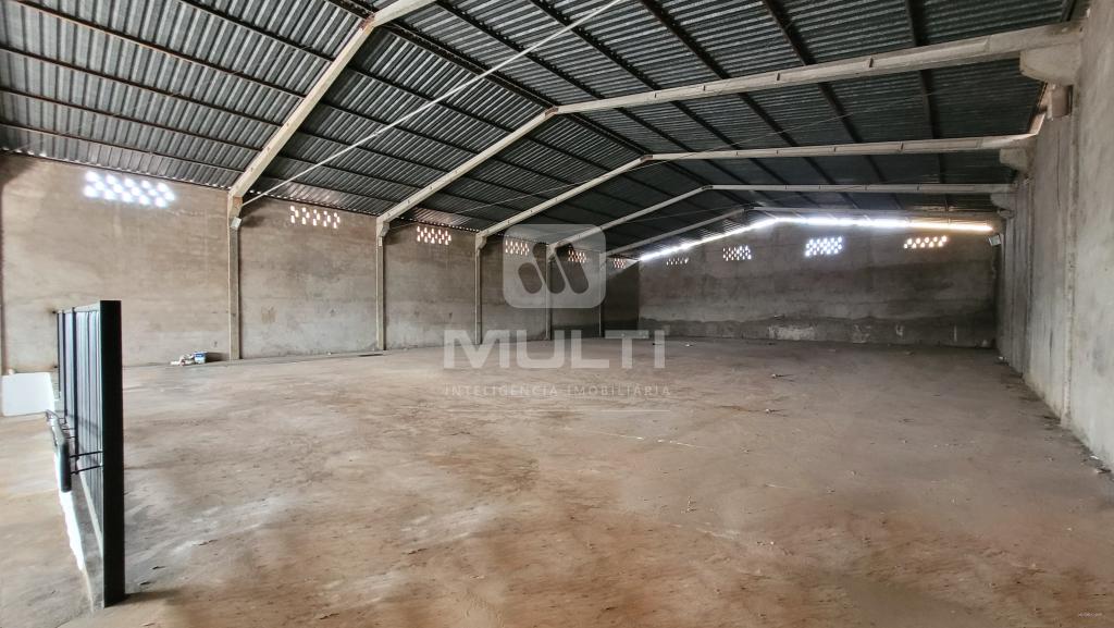 Casa, 1 quarto, 800 m² - Foto 3