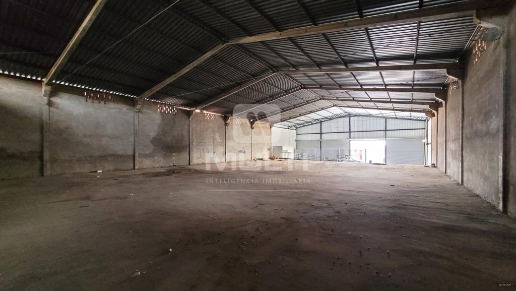 Casa, 1 quarto, 800 m² - Foto 5