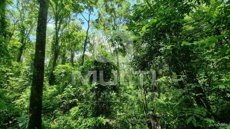 Chácara à venda com 2 quartos, 300m² - Foto 4