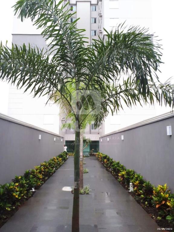 Apartamento, 3 quartos, 84 m² - Foto 22