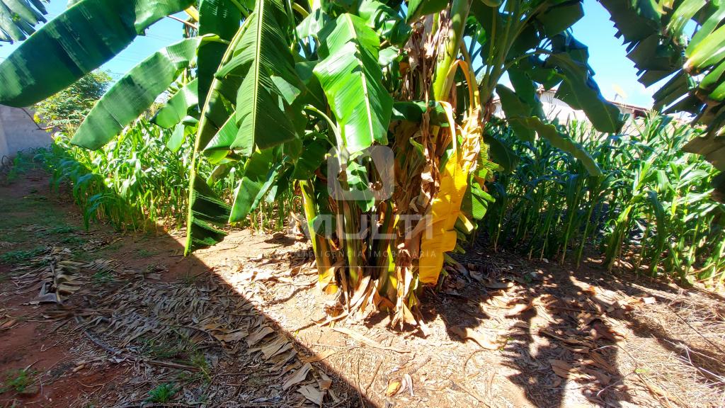 Terreno, 375 m² - Foto 3